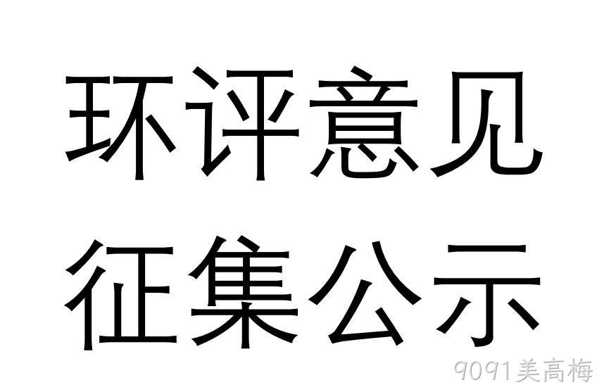 大连9091美高梅光电子材料有限公司系列集成电路用高纯气体产业化项目环境影响评价报告书报批稿公示