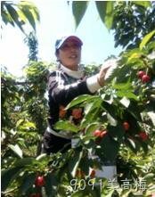 贵阳9091美高梅化工科技开发有限公司