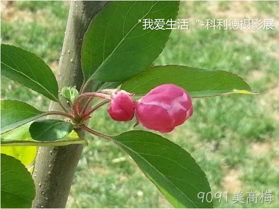 贵阳9091美高梅化工科技开发有限公司
